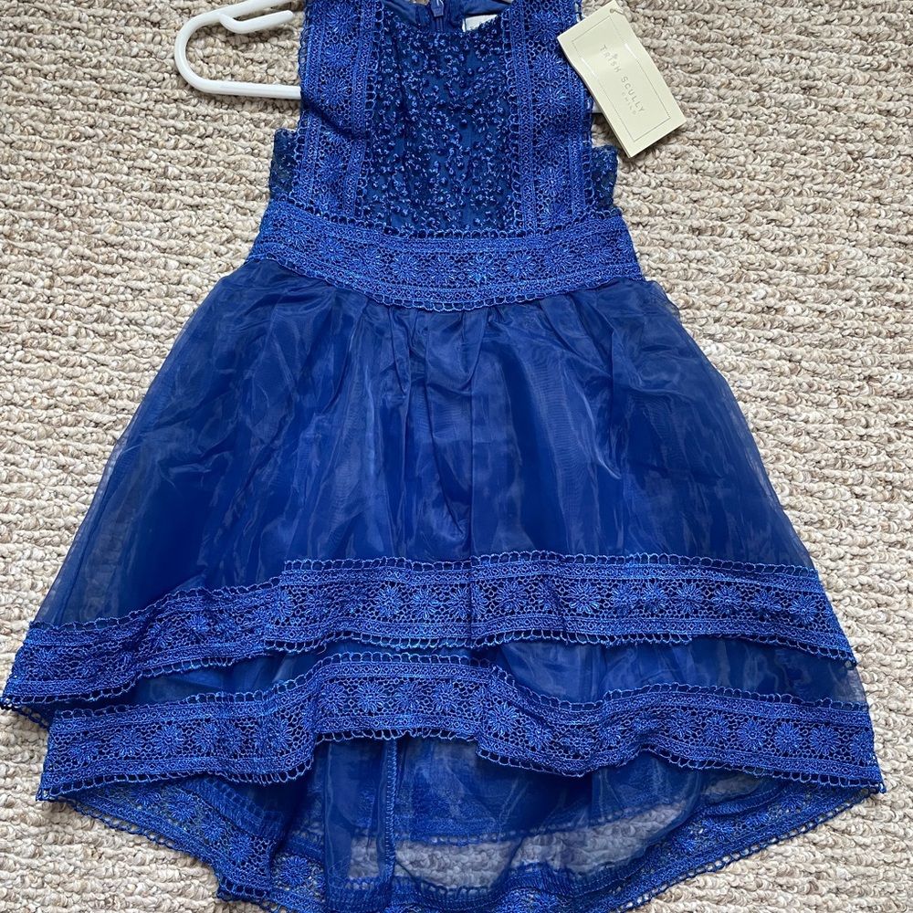 Trish Scully Blue Lace & Tulle Formal Dress